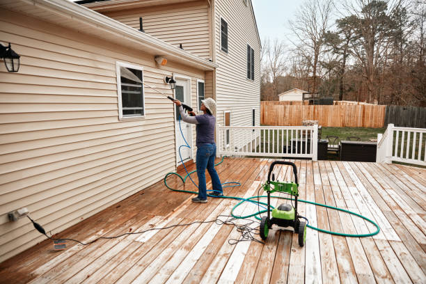 Best Affordable Pressure Washing  in Weidman, MI