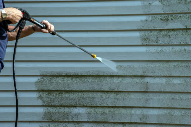 Best Residential Pressure Washing Services  in Weidman, MI