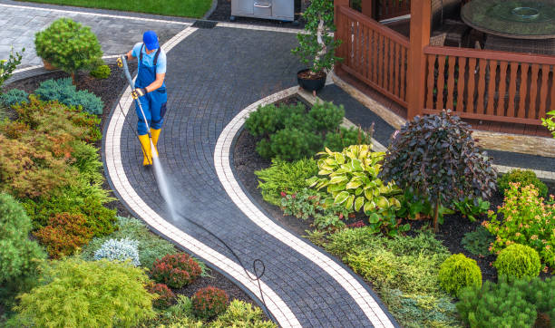 Best Pressure Washing Patio  in Weidman, MI