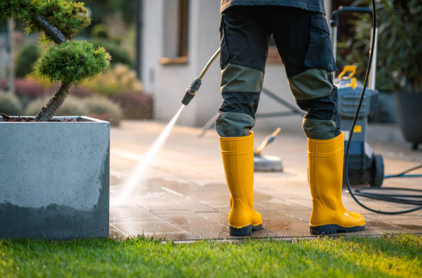 Best Local Pressure Washing Services  in Weidman, MI